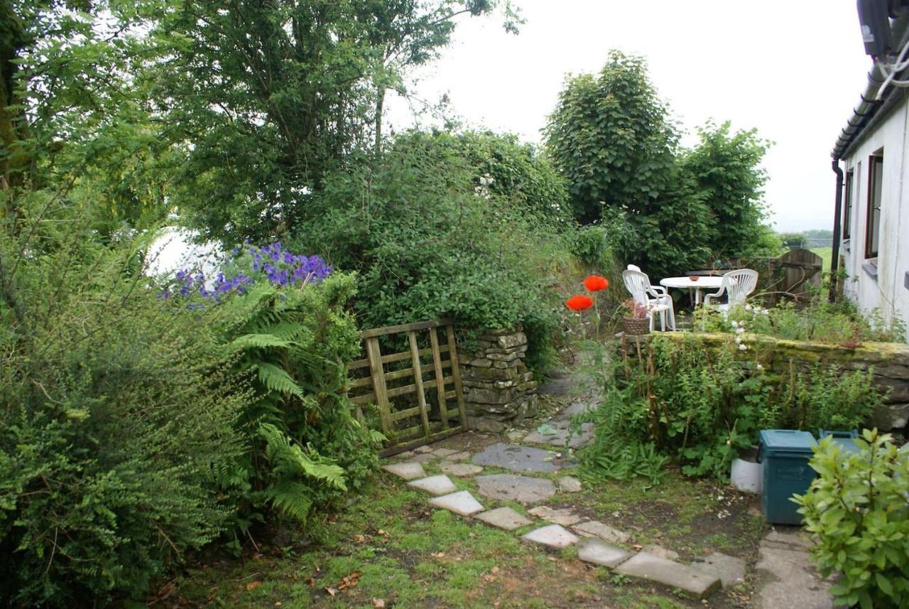 Inviting 2-Bed Cottage In Newcastle Emlyn Exteriér fotografie