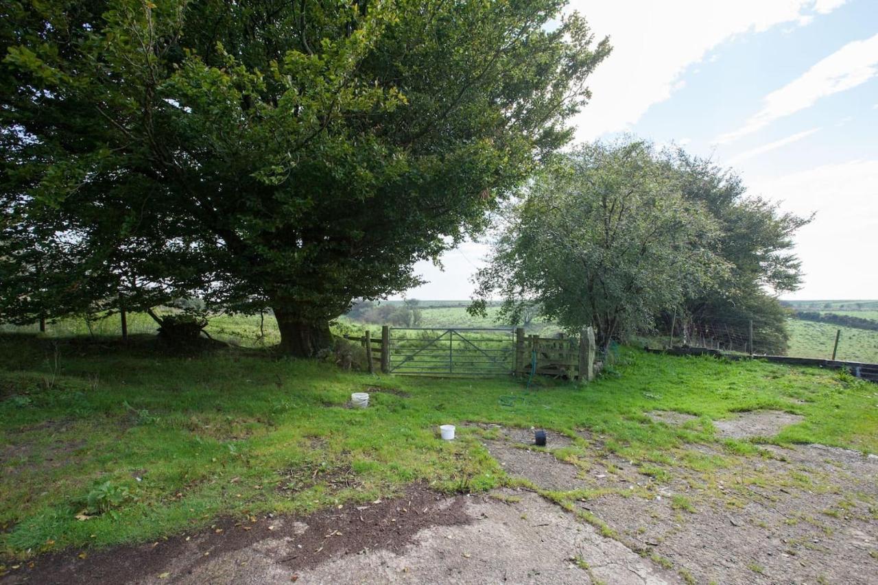 Inviting 2-Bed Cottage In Newcastle Emlyn Exteriér fotografie